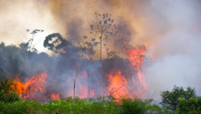 Brazil’s National Institute for Space Research (INPE) states that there has been a total of 72,843 fires in Brazil this year